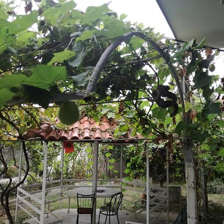 Villa Osmani Δυρράχιο Εξωτερικό φωτογραφία