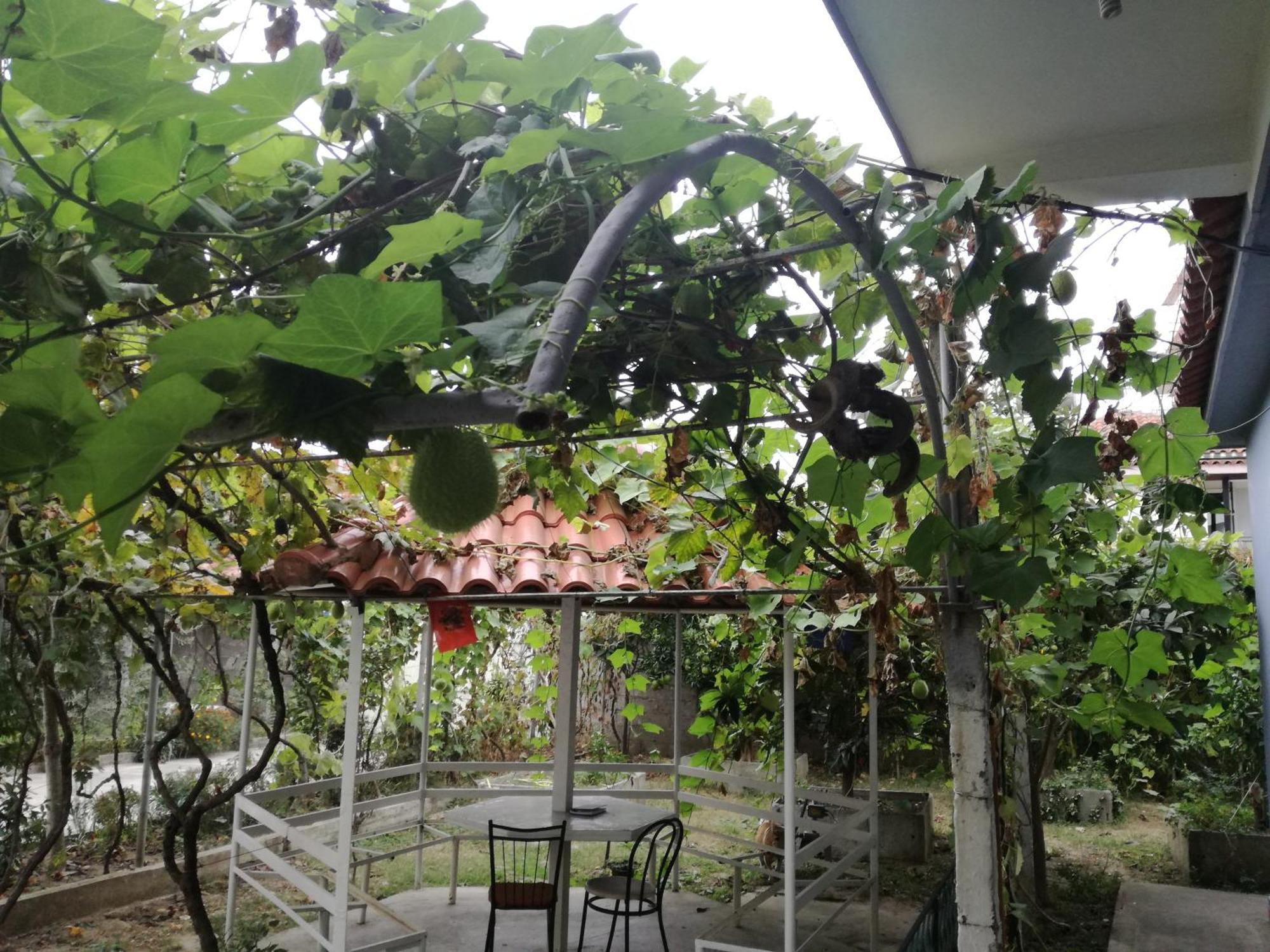 Villa Osmani Δυρράχιο Εξωτερικό φωτογραφία