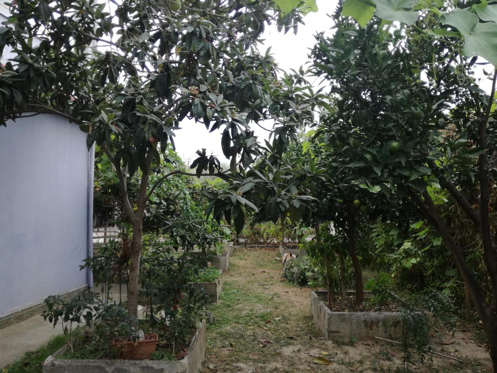 Villa Osmani Δυρράχιο Εξωτερικό φωτογραφία